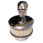 Skull Top Air Cleaner