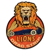 Lion's Drag Strip Sign