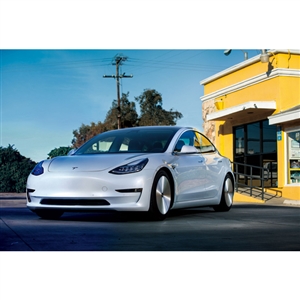 Moon Disc for Tesla Model 3 hub cap
